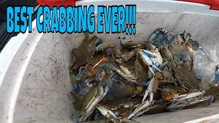 The BEST CRABBING I have EVER SEEN !!! INSANE!!!