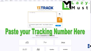 How to track your order using 17track net - lazymust.com