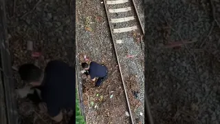 Cop Rescues Kitten From Railway Tracks - 1137849