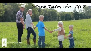 The Green Farm Life. Ep. 5 (Harvest)