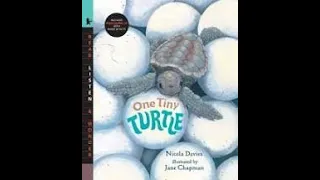 6/4 One Tiny Turtle Read Aloud - Explorers