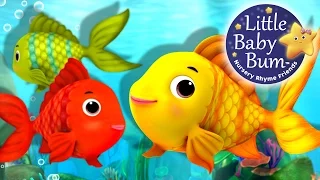 Counting Fish | Nursery Rhymes for Babies by LittleBabyBum - ABCs and 123s