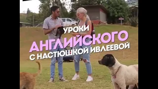 Уровень английского - Настя Ивлеева 😂