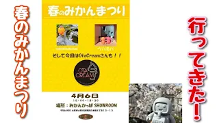 【イベントとソフビ紹介】春のみかんまつりのお話と前に購入してたソフビ さっくんソフビの進行状況など。