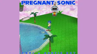 Omri & Auntie Boy - Pregnant Sonic (TikTok Song)