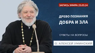 О древе познания добра и зла. Запись эфира №2 и ответы на вопросы 25.03.24 (о. Алексей Уминский)