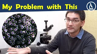 🔬 My Problems with Live Blood Analysis (LBA)