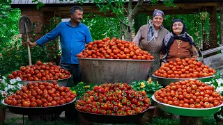 Grandma's Secret Tasty Tomato Paste Recipe | Outdoor Cooking