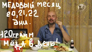 Медовый месяц Липовый Мёд 20 21 и 22 дни