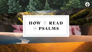 How To Read The Psalms (Week 4) on Discover the Word