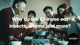 Why do the Chinese eat insects, worms and more? There is a very painful story behind this choise.