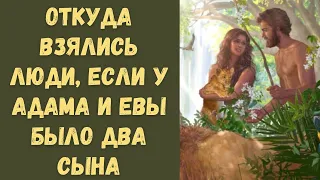 Откуда взялись люди на Земле, если у Адама и Евы было два сына