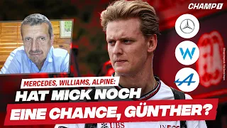 Mick Schumacher: Ist die WEC geeignet, um sich für die Formel 1 zu empfehlen? DAS sagt Steiner