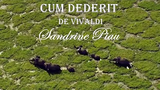 CUM DEDERIT—Vivaldi — Soprano Sandrine Piau