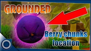 GROUNDED  | Where to find Berry chunks
