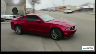 lilhatedawrld Reacts to Mustang crash compilation [MUST WATCH]