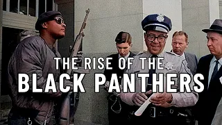 The Black Panthers SCARED the Police - Prt. 1 #onemichistory