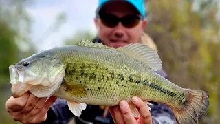 Ne-am întors CAMPIONI MONDIALI! - STREETFISHING în ITALIA