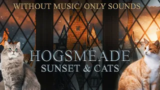 Hogsmeade Window [Sunset] Snowfall 🐈 + Cats - Harry Potter Winter Ambience 🎄 NO MUSIC / Only Sounds