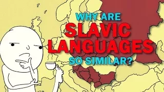 Slavic Languages | Why are they so similar to eachother?