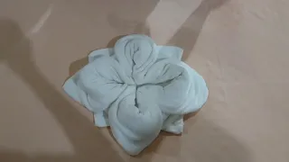 The 10 Basic Hotel Towel Folding