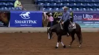 Lil Light Juice Tulsa Reining Classic Non Pro Futurity Champion