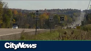 Highway 413 threatens at-risk species