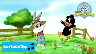 Baby Looney Tunes | SONG: Daffy's Song | Cartoonito