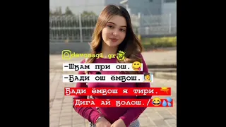 шикам при ош