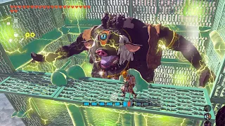 The Most Brutal Giant Execution Cage in Hyrule