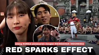 Gara-Gara Red Sparks, Orang Korea Kini Jadi Penasaran Dengan Keindahan yang ada di INDONESIA