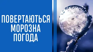 Синоптики назвали дату, коли до України повернеться морозна погода