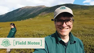 The Future of Birds in a Changing Climate | Field Notes | Parks Canada