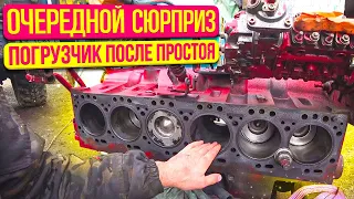 Погрузчик из-под забора HANOMAG 44d.Оживление продолжается!