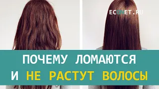 Почему ломаются и не растут волосы | ECONET.RU