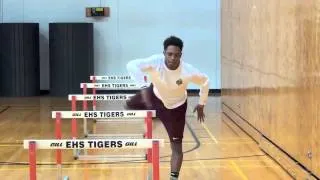 Feed The Cats Hurdle Drills