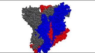 Simulation of the SARS-CoV-2 spike protein!