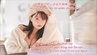 太想念 Tài Xiǎngniàn Miss too much - 豆包 Dou Bao (Quá nhớ mong - Đậu Bao) | Lyric-Pinyin-Vietsub-Engsub