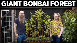 How To Make A Giant Bonsai Forest 🌳 *EASY*