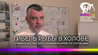 В Правительстве Новгородской области прокомментировали ситуацию массовой гибели рыбы в реке Холова