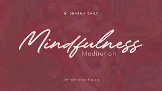 Mindfulness Meditation - 30 minutes  (Yongey Mingyur Rinpoche recording - edited)