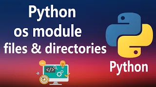 #31 - os module in Python