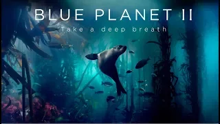 BBC 'Blue Planet II' Trailer (Re-score)