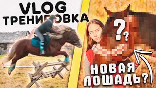 VLOG Конная Тренировка ПРЫГАЕМ // 2 дня в конюшне