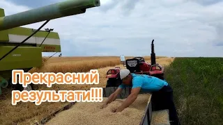 😱 Одноосібник зірвав джек-пот, та втер носа ...👍 ❗  Жнива 2023 збір ячменю ❗ Насипав по самі яйця ❗