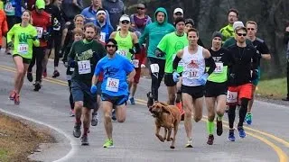 Dog Accidently Joins Half Marathon, Finishes Race In 7th Place