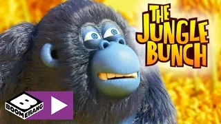 The Jungle Bunch | Banana World | Boomerang UK