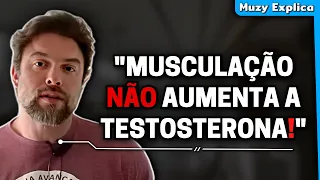 MUSCULAÇÃO aumenta TESTOSTERONA? Mito ou verdade? | Muzy Explica