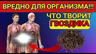 ТЕРАПЕВТИЧЕСКИЕ СВОЙСТВА гвоздики?  Полезные свойства гвоздики и противопоказания? #гвоздика