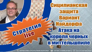 Сицилианская защита. Вариант Найдорфа. Атака на короля черных в миттельшпиле. Обучение шахматам